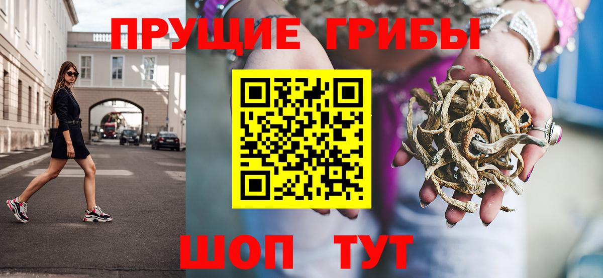 Псилоцибиновые грибы Psilocybe Людиново