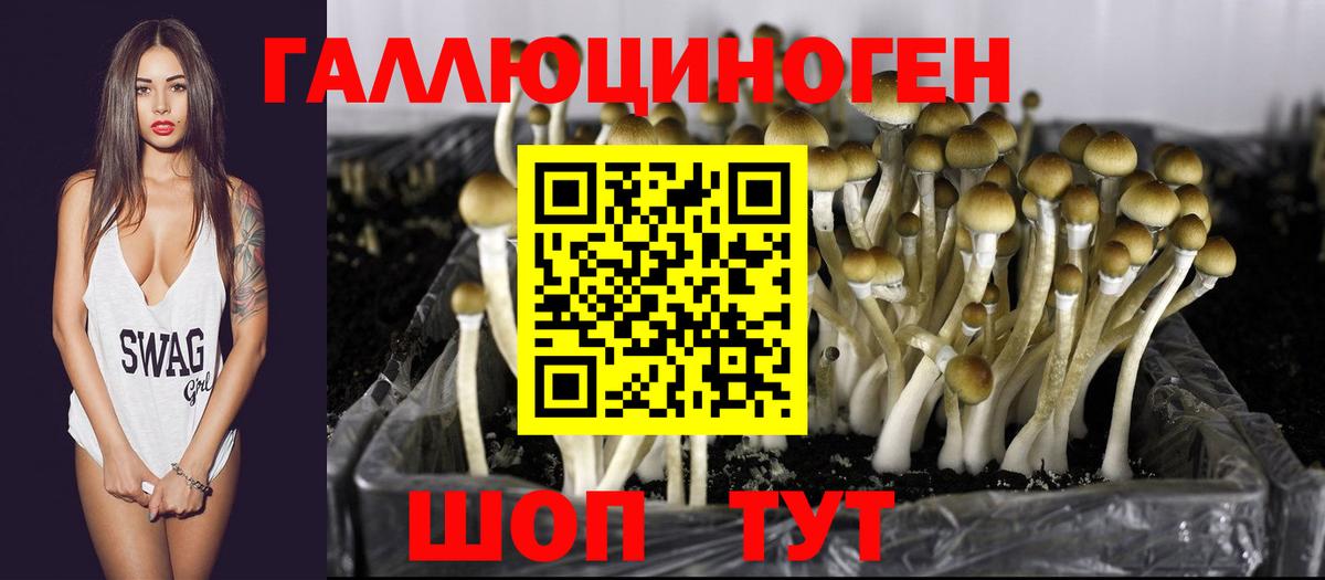Людиново  Галлюциногенные грибы Psilocybe  Вход с VPN 